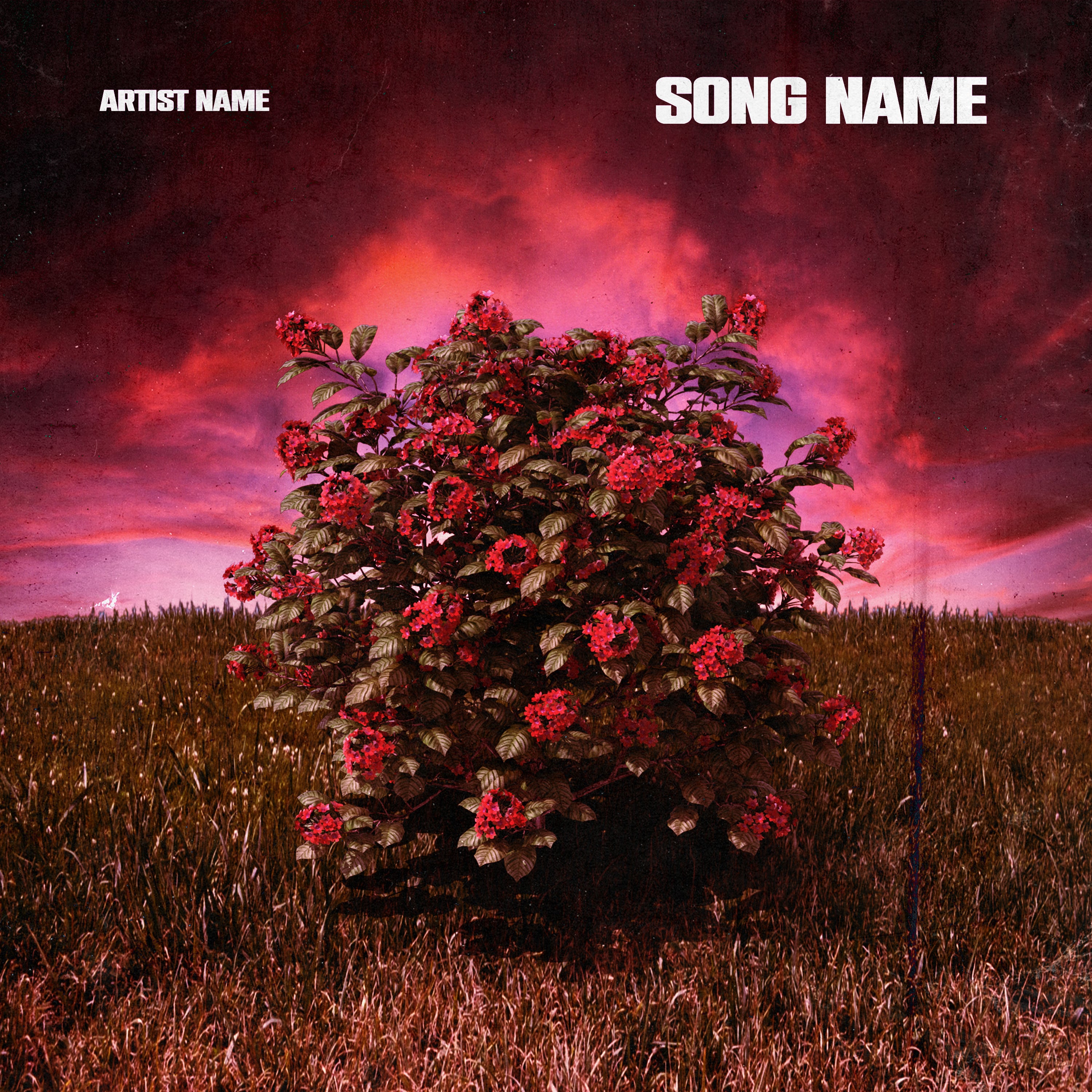 Rose Tree Pink Sky