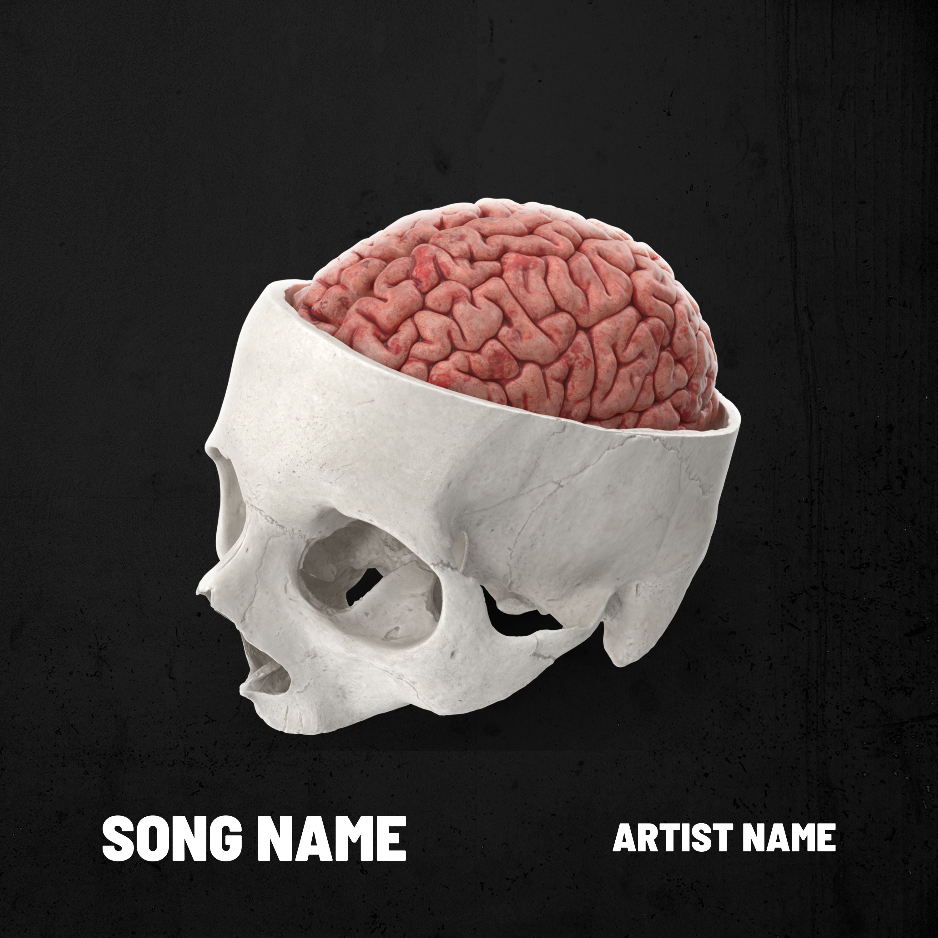 Brain In Skull - Canva Template - Music Album Art - Cover Art
